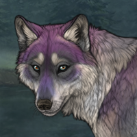 Willowbark Headshot