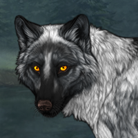 Wolf Headshot