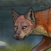 Little Fox! 347 [C] Headshot