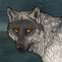 Wolf Headshot