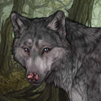 Lichen'Woods Headshot