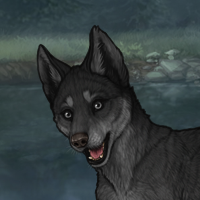 Liath Headshot