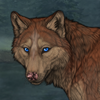 Kodiakpaw Headshot