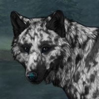 Howlite Winterwolf Headshot