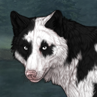 Piebald torn Headshot