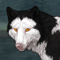 Holstein Headshot