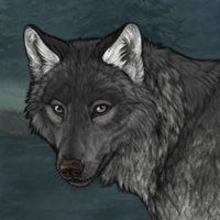 Wolf Headshot