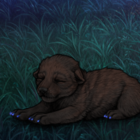 New Puppy Headshot