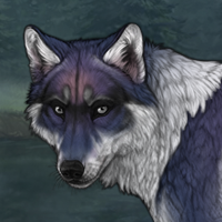 Wolf Headshot