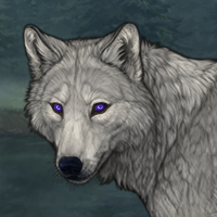 GreyWind Headshot