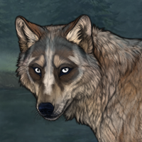 Lynx [G3 T3 Badger F Pup] Headshot