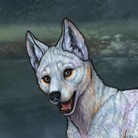 Okami Headshot