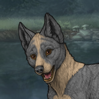 Sensasi Male Pup Headshot