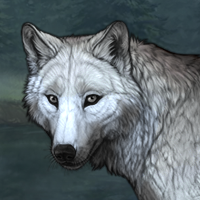 Wolf Headshot