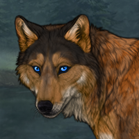 Coyote's Howl Headshot