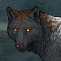 Wolf Headshot