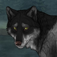 Wolf Headshot