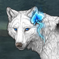 Wolf Headshot