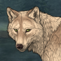 Wolf Headshot