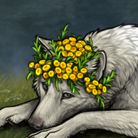 Wolf Headshot
