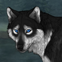 Tundra's Black Snowfall Headshot