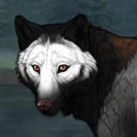 Wolf Headshot