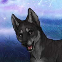 obsidian 320 Headshot