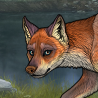 G2 Novus fox! Headshot