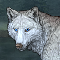 Wolf Headshot