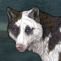 M piebald Headshot