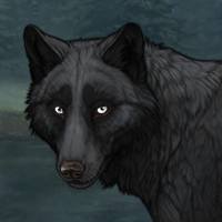 [C] Black | 634 | F Headshot