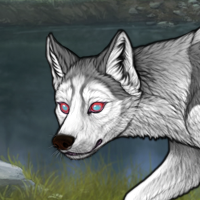 Wolf Fang Headshot