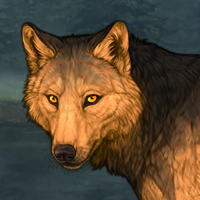 Wolf Fang Headshot