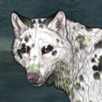 Dalmatian Pie Headshot