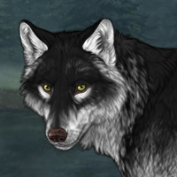 Wolf Headshot