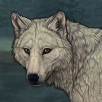 Tundra Headshot