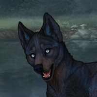 G2 Husky Blueschist drac Headshot