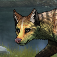 BADGER / Bone k? Headshot