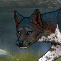 Piebald: Zerdava Headshot