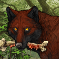 Wolf Headshot