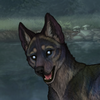 T3 Blueschist Headshot