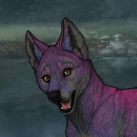 Nocturne Puppy - 4M Headshot