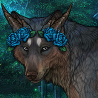 Hailstream Headshot