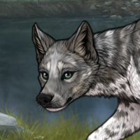 Zerdava Headshot