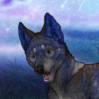 Very weird Blue Dog Headshot