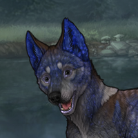 Very weird Blue Dog Headshot