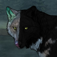 Wolf Headshot