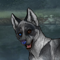 Thornpup Headshot