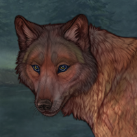 ☤ Niffermy Headshot