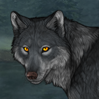 Wolf Headshot